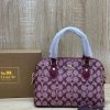 Wine Red Coachh Signature Canvas Mini Dome Satchel Bag