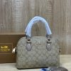 Khaki Coachh Signature Canvas Mini Dome Satchel Bag